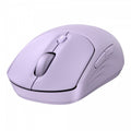 0d474b2aff54e0cb91e040b983ce7d8f