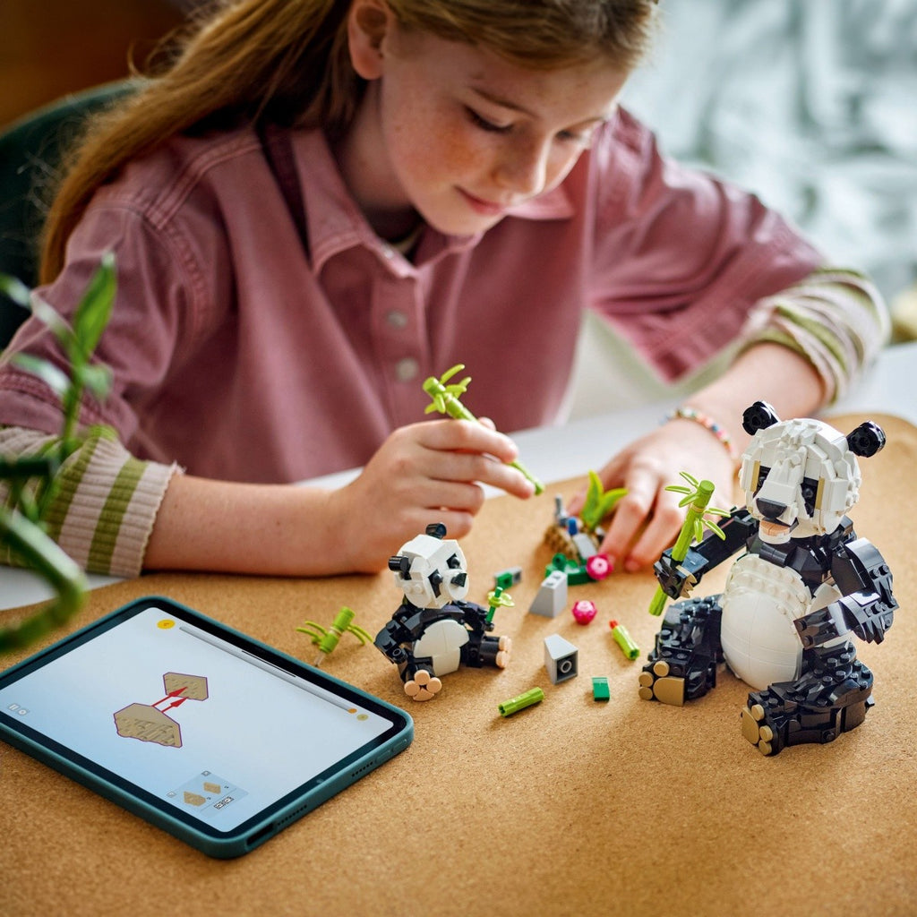 88144ff43c6bbbfa623c9ddccb73e33a